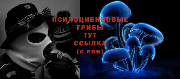 ПСИЛОЦИБИНОВЫЕ ГРИБЫ Алексин