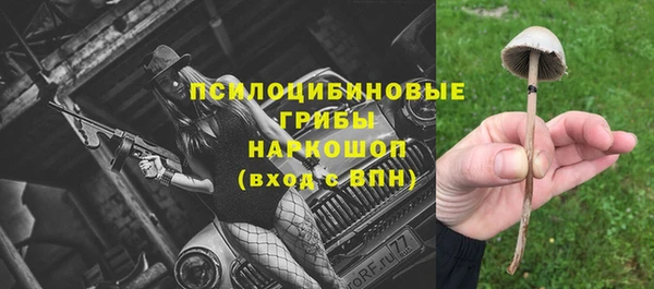 прущий лед Алзамай