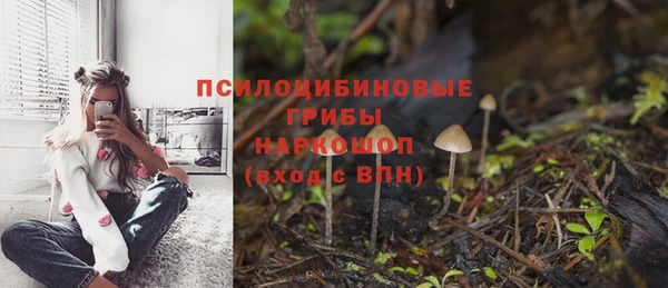 прущий лед Алзамай