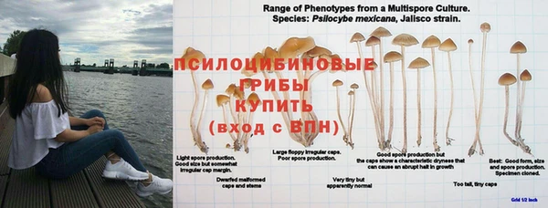 прущий лед Алзамай