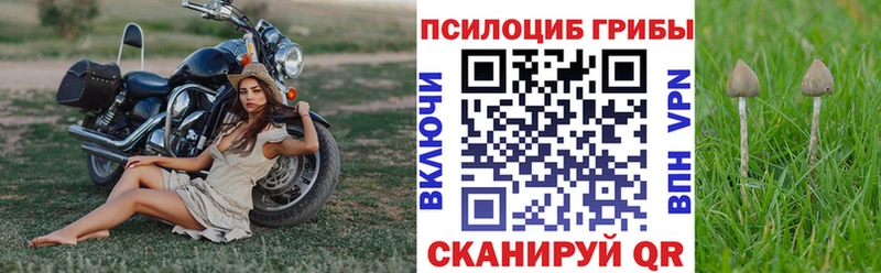 наркошоп  Сухой Лог  Галлюциногенные грибы прущие грибы 