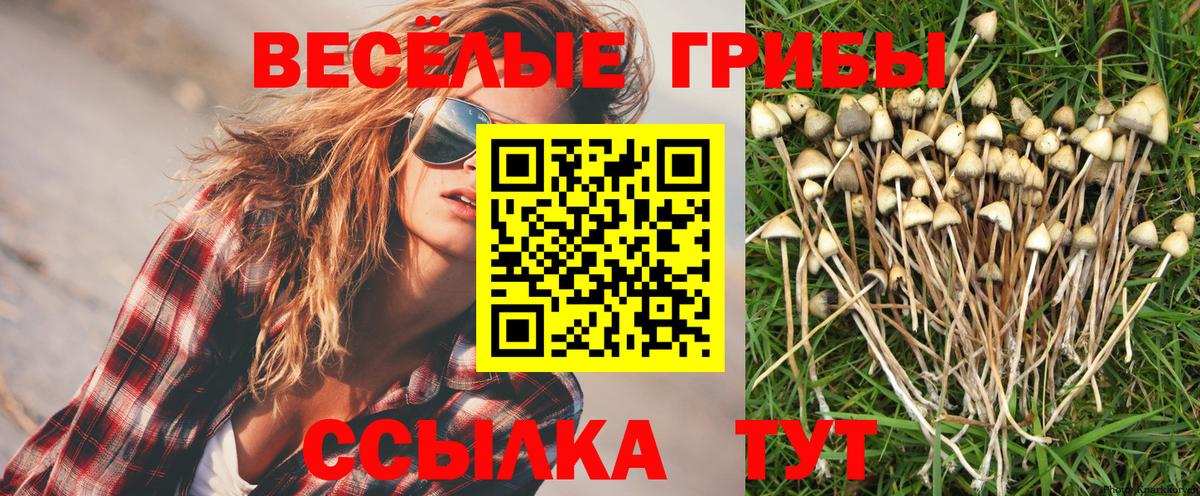 Псилоцибиновые грибы MAGIC MUSHROOMS Сухой Лог