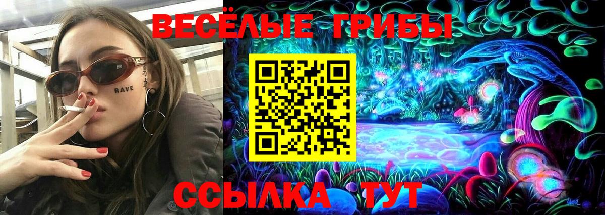 Сухой Лог  Псилоцибиновые грибы Psilocybe  Вход с VPN  Галлюциногенные грибы Psilocybe 